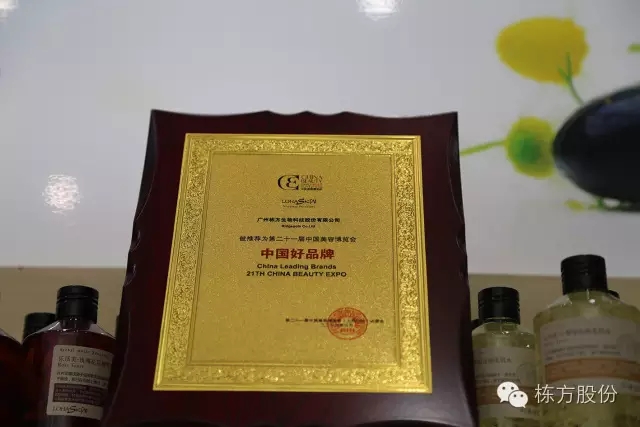 科技引領美麗▏棟方股份榮獲“中國好品牌獎”！